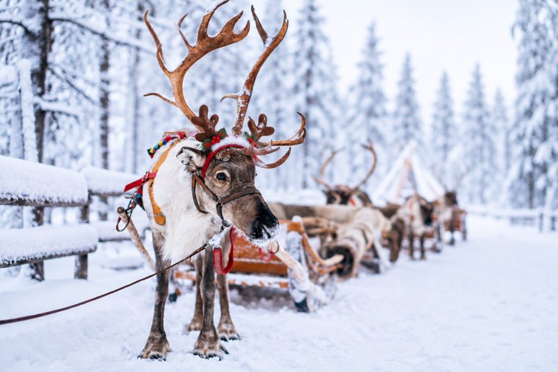 https://santaclausvillage.info/